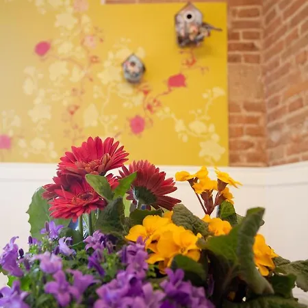 Antica Riva فيرونا